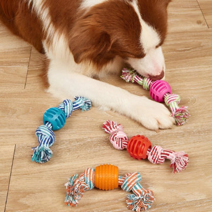Jouet pour chiot quatre couleurs