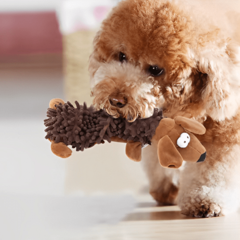 petit chien brun avec son jouet pour chiot dans la bouche