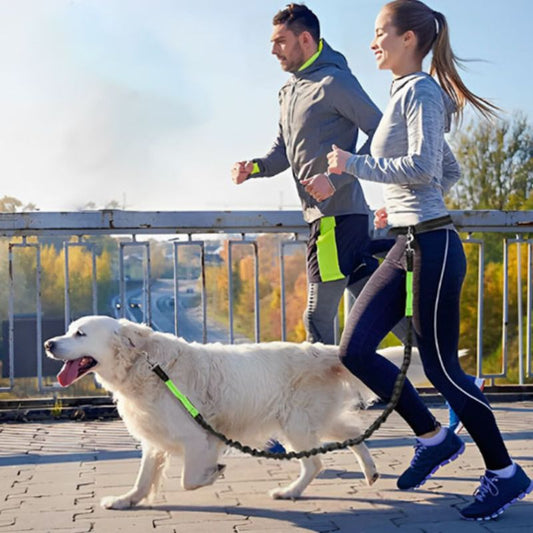 Laisse canicross | OnTheTrack - Les Plaisirs Canins