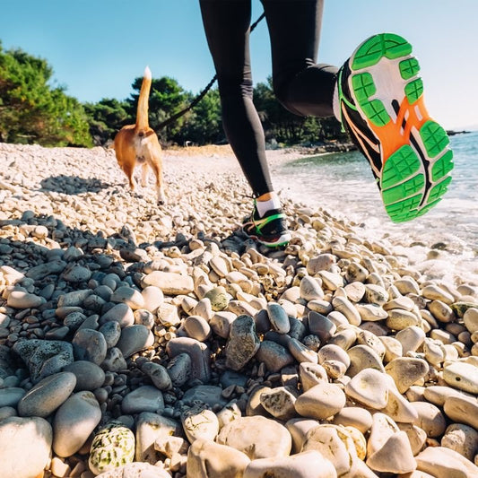 Laisse canicross | RunFree - Les Plaisirs Canins