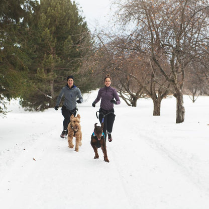 Laisse canicross | RunYourDog - Les Plaisirs Canins
