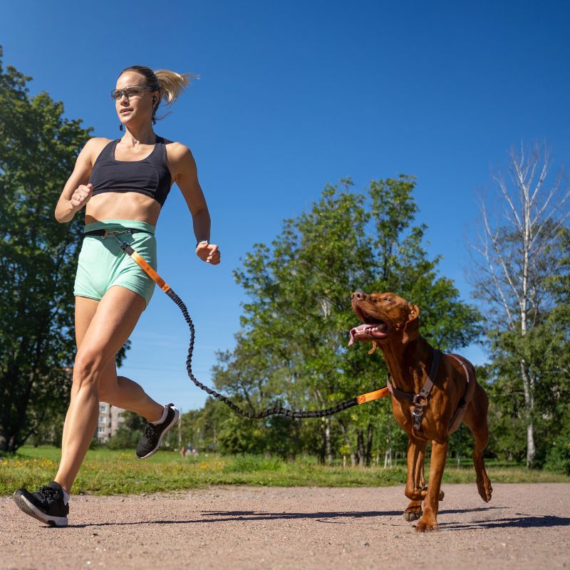 Laisse canicross | RunYourDog - Les Plaisirs Canins