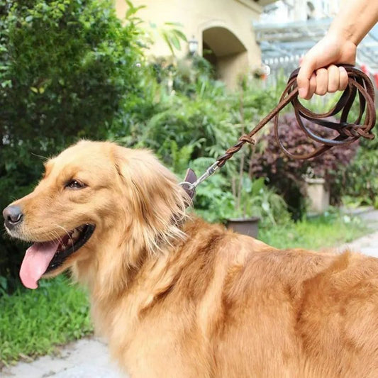 Laisse chien | BeauCuir - Les Plaisirs Canins