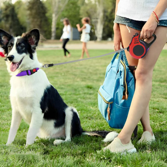 Laisse chien | Rétractable OnTheGo - Les Plaisirs Canins