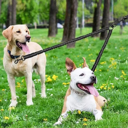 Laisse double pour chien | DoubleRun - Les Plaisirs Canins