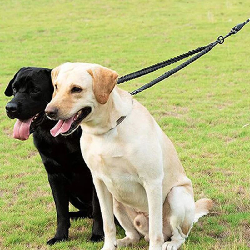 Laisse double pour chien | DoubleRun - Les Plaisirs Canins