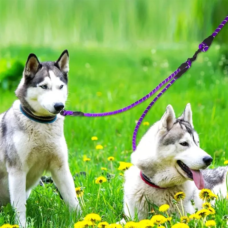 Laisse double pour chien | DuoFit - Les Plaisirs Canins