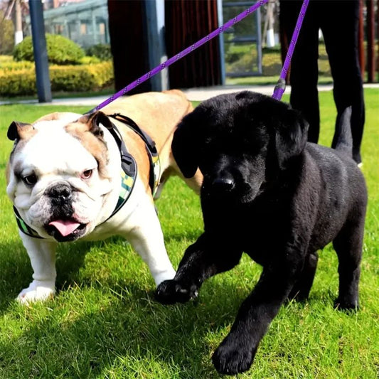 Laisse double pour chien | DuoFit - Les Plaisirs Canins