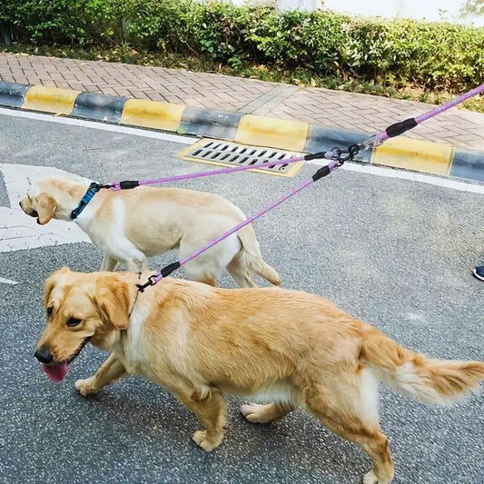Laisse double pour chien | JoyWalking - Les Plaisirs Canins
