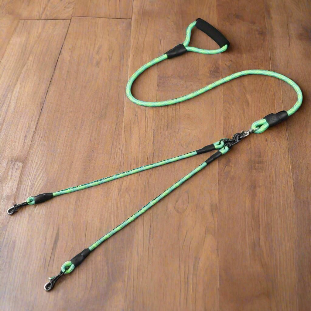 Laisse double pour chien | JoyWalking - Les Plaisirs Canins