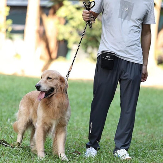 Laisse pour chien | ComfyRope - Les Plaisirs Canins