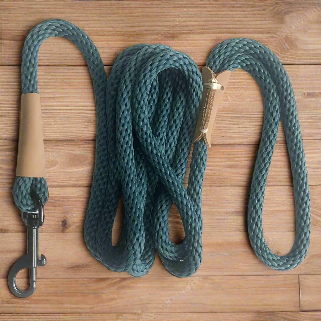 Laisse pour chien | ComfyRope - Les Plaisirs Canins