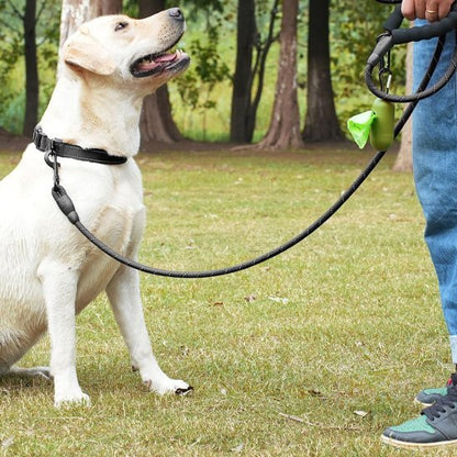 Laisse pour chien | FlashyConfo - Les Plaisirs Canins