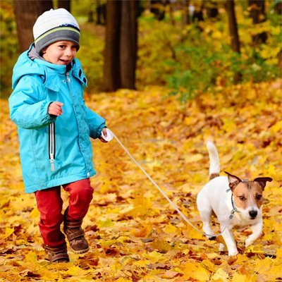 Laisse pour chien | MiniEnrouleur - Les Plaisirs Canins