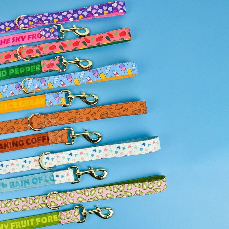 Laisse pour chien | PartyColor - Les Plaisirs Canins