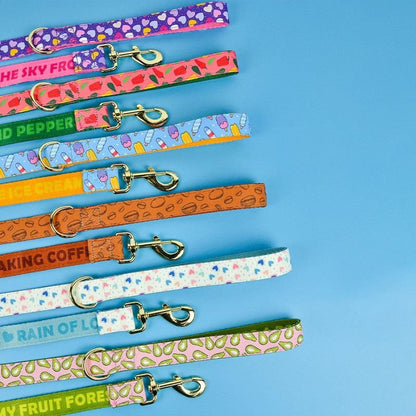 Laisse pour chien | PartyColor - Les Plaisirs Canins