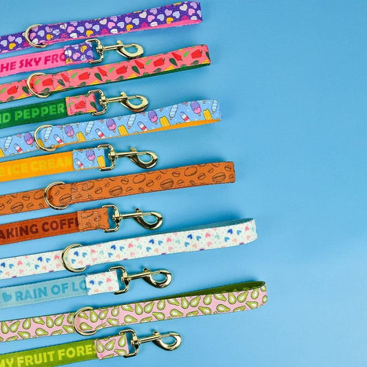 Laisse pour chien | PartyColor - Les Plaisirs Canins