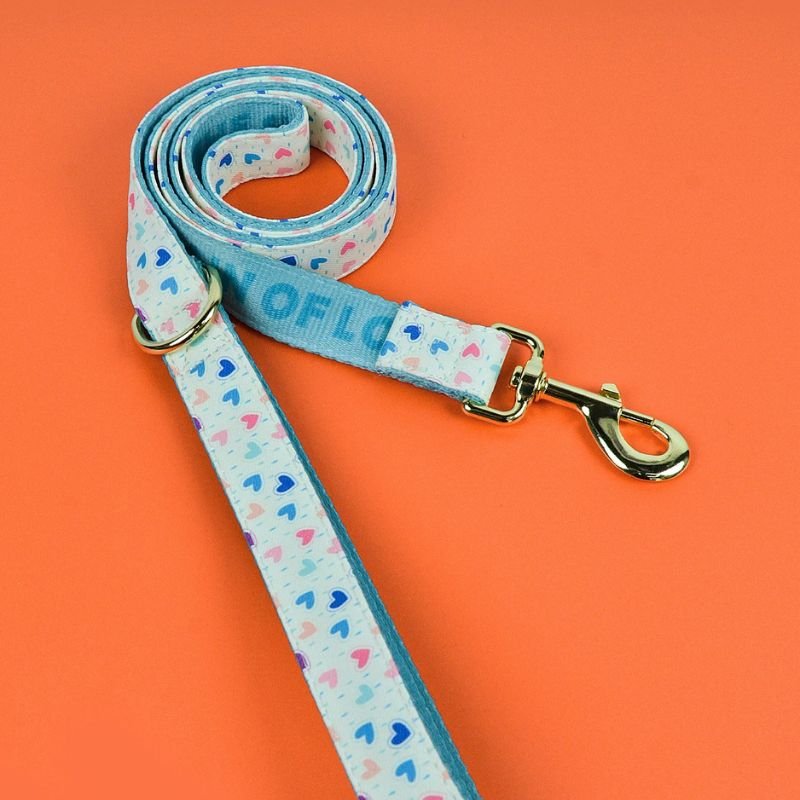 Laisse pour chien | PartyColor - Les Plaisirs Canins