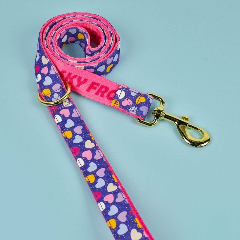 Laisse pour chien | PartyColor - Les Plaisirs Canins