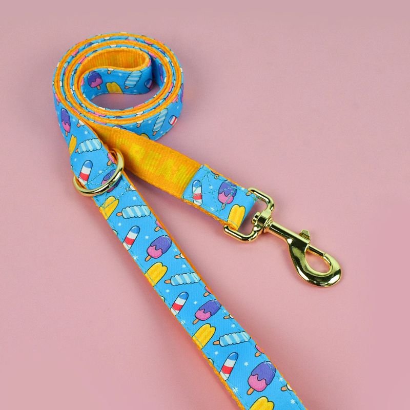 Laisse pour chien | PartyColor - Les Plaisirs Canins