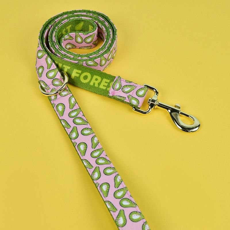 Laisse pour chien | PartyColor - Les Plaisirs Canins