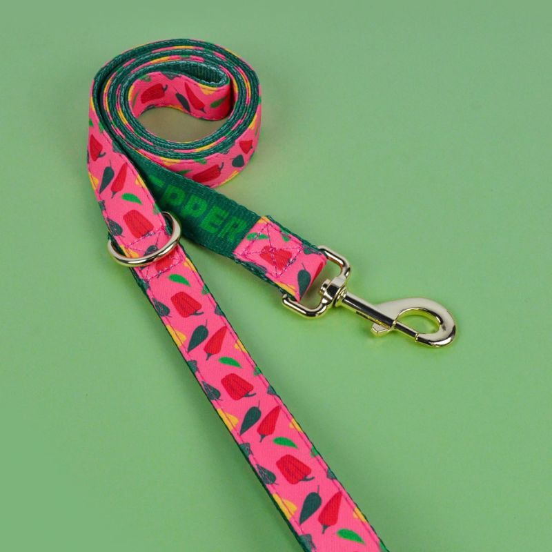 Laisse pour chien | PartyColor - Les Plaisirs Canins