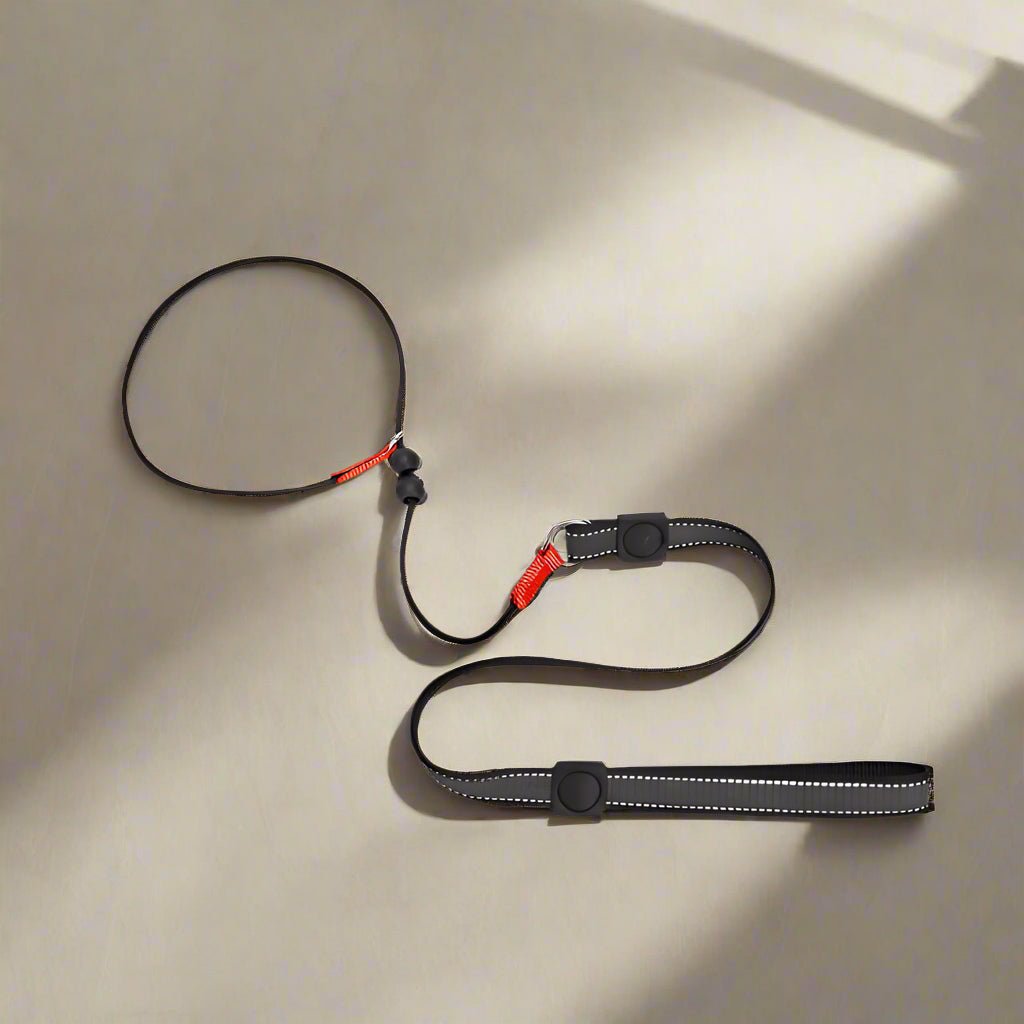 Laisse pour chien | PerfectTrainingTool - Les Plaisirs Canins