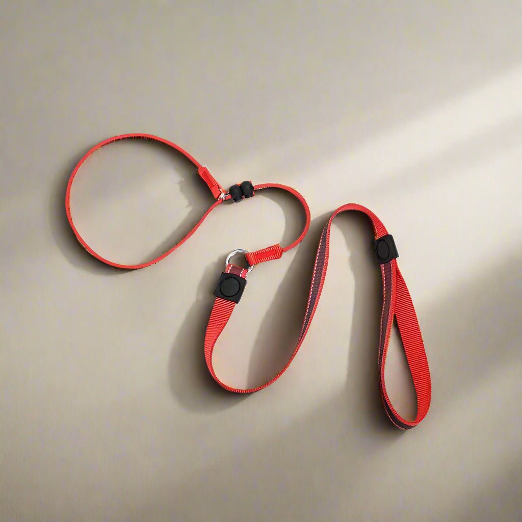 Laisse pour chien | PerfectTrainingTool - Les Plaisirs Canins