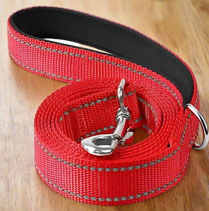Laisse pour chien | SimplementParfaite - Les Plaisirs Canins