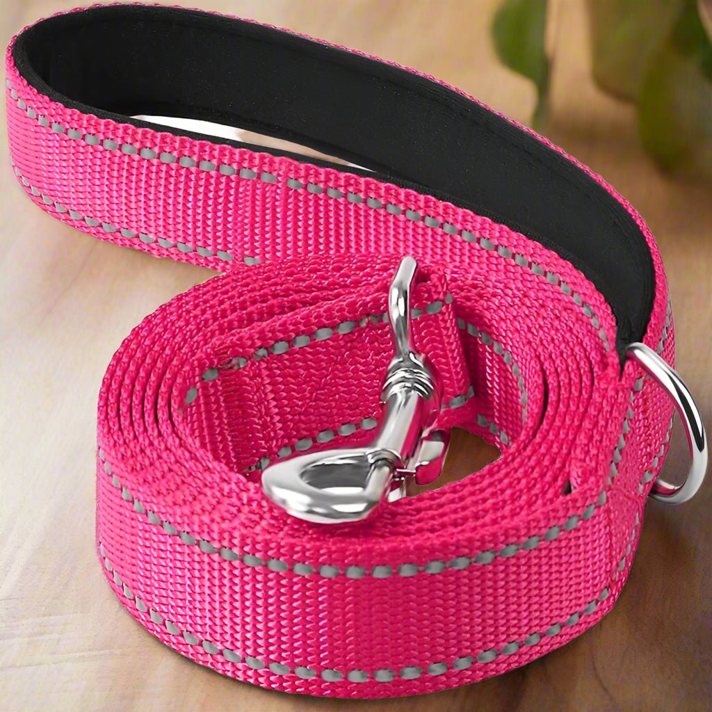 Laisse pour chien | SimplementParfaite - Les Plaisirs Canins