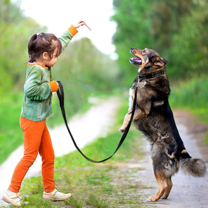 Laisse pour chien | SimplementParfaite - Les Plaisirs Canins