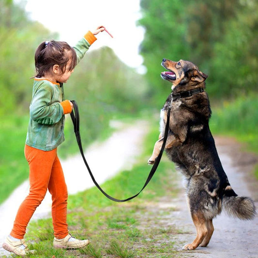 Laisse pour chien | SimplementParfaite - Les Plaisirs Canins