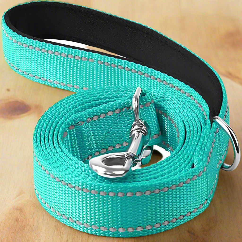 Laisse pour chien | SimplementParfaite - Les Plaisirs Canins