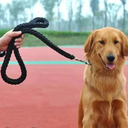 Laisse pour chien | TressyRopy - Les Plaisirs Canins