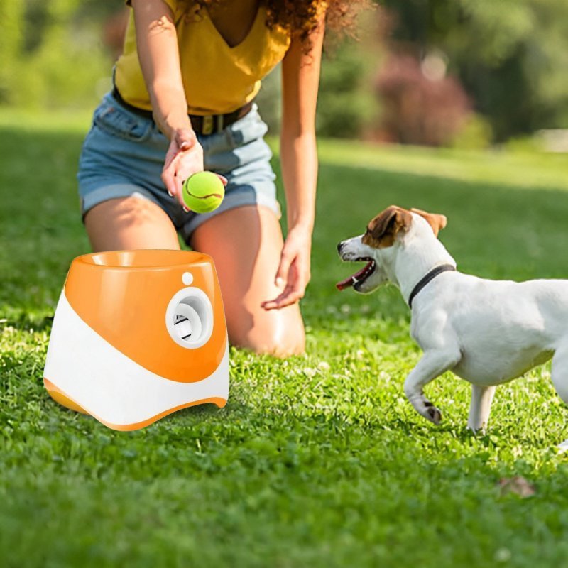 Jack russell qui joue dehors avec son maitre et son lanceur de balle pour chien orange