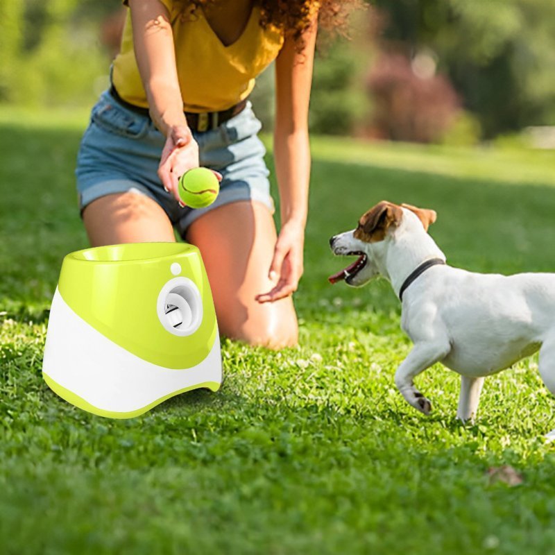 Jack russell qui joue dehors avec son maitre et son lanceur de balle pour chien vert lime