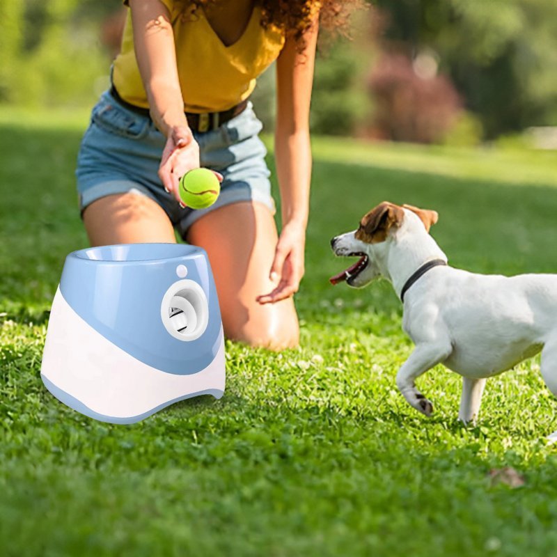 Jack russell qui joue dehors avec son maitre et son lanceur de balle pour chien bleu