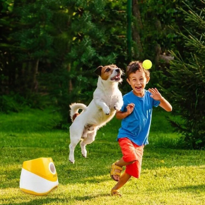 Jeune garçon et Jack Russell entrain de jouer dehors avec leur lanceur de balle pour chien