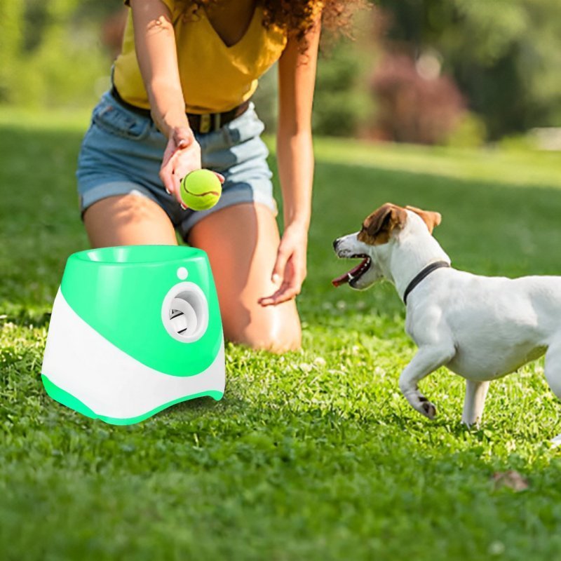 Jack russell qui joue dehors avec son maitre et son lanceur de balle pour chien vert