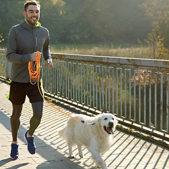 golden retriever et son maitre qui court avec une longe chie orange