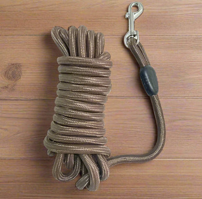 Longe chien marron