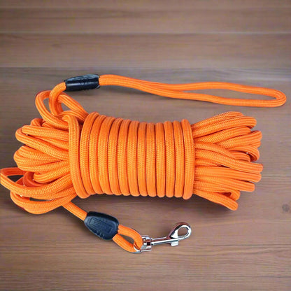 longe chien orange