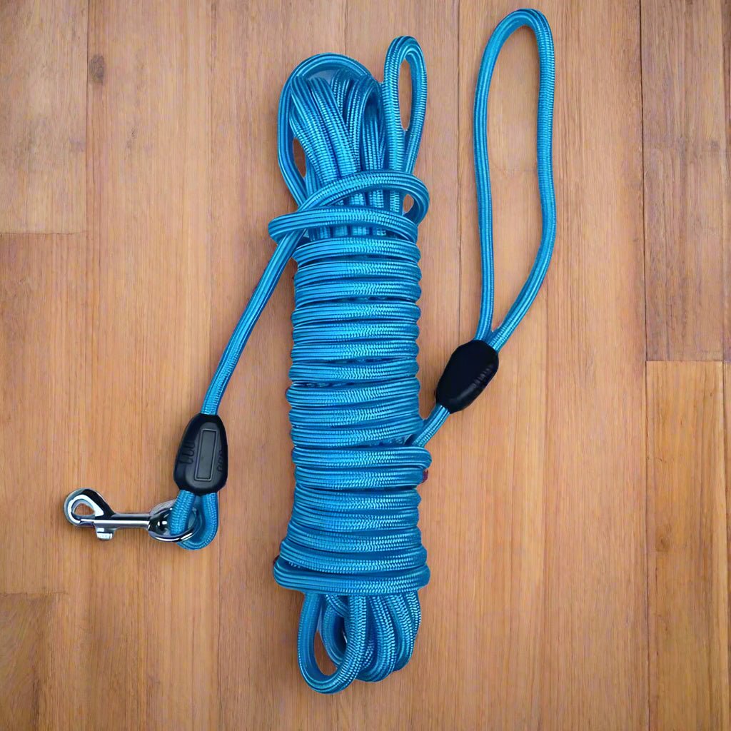 Longe chien bleu
