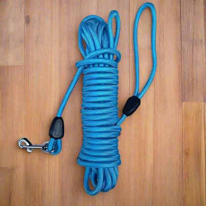 Longe chien bleu