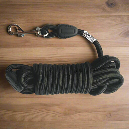 longe chien noir