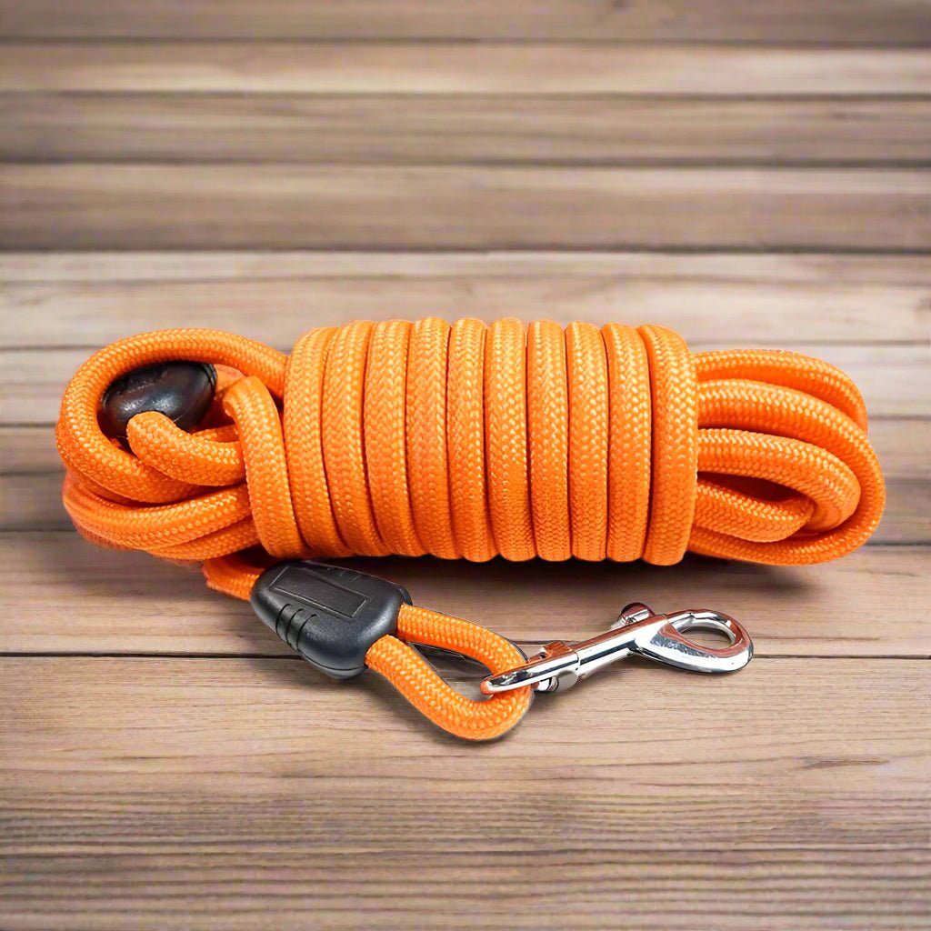 Longe pour chien orange