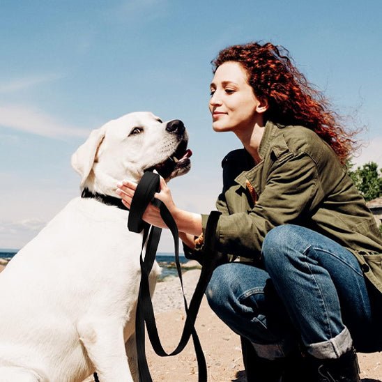 Longe pour chien | GoodForWater - Les Plaisirs Canins