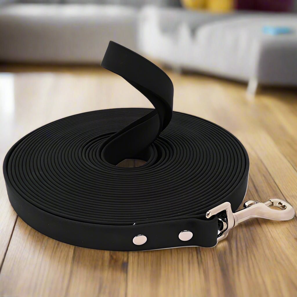 longe-Pour-Chien-noir