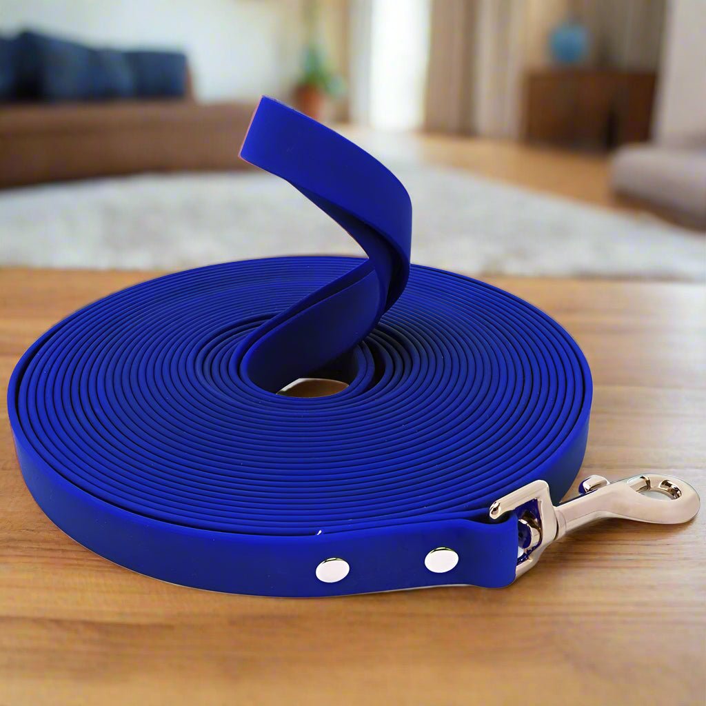 longe-Pour-Chien-bleu