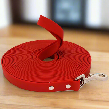 longe-Pour-Chien-rouge